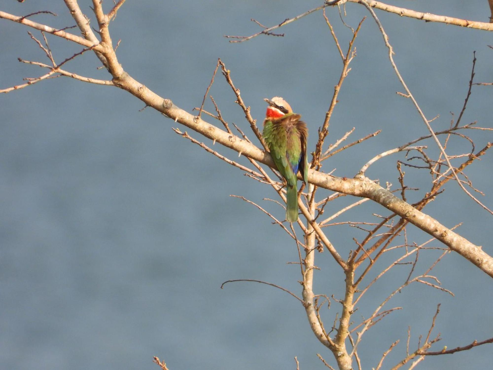 Dagama Dam - White River - Kestrel - House 21 Exteriér fotografie